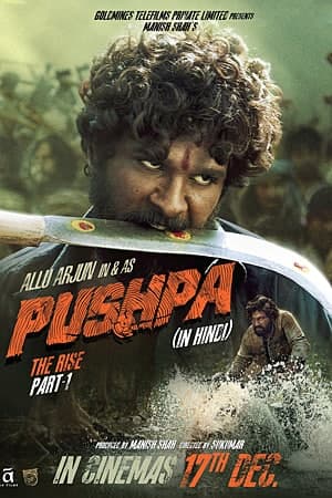 Pushpa-The-Rise-Part-1-2021-Hindi-Dubbed-Movie